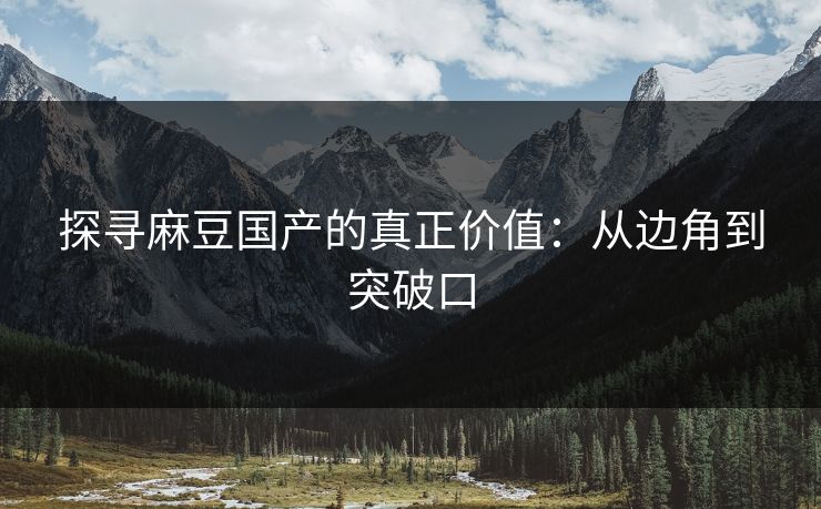 探寻麻豆国产的真正价值:从边角到突破口 第1张 探寻麻豆国产的真正价值:从边角到突破口 第1张