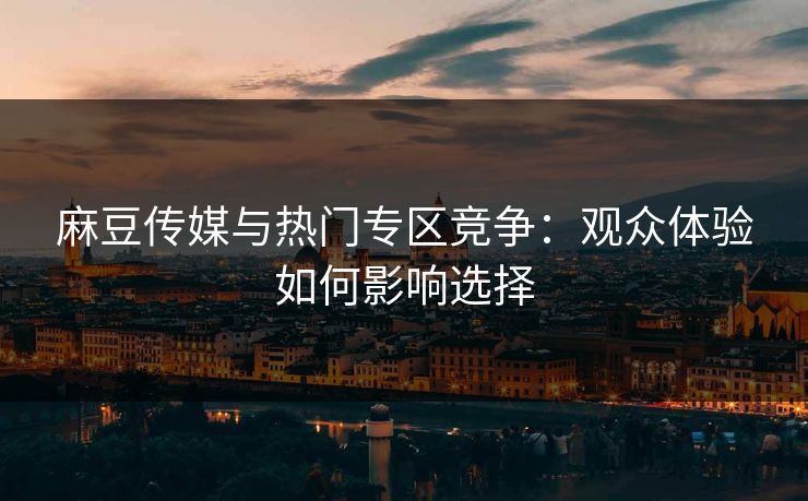 麻豆传媒与热门专区竞争：观众体验如何影响选择  第1张