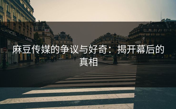 麻豆传媒的争议与好奇：揭开幕后的真相  第1张