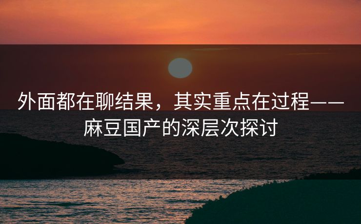 外面都在聊结果，其实重点在过程——麻豆国产的深层次探讨  第1张