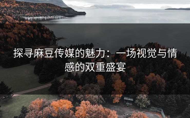 探寻麻豆传媒的魅力：一场视觉与情感的双重盛宴  第2张