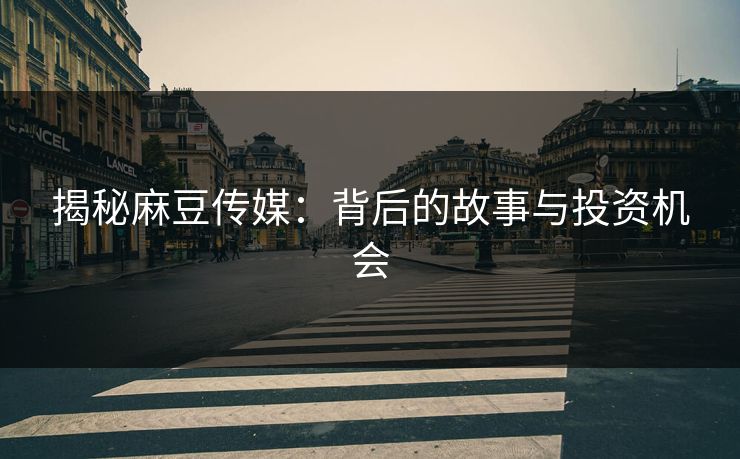 揭秘麻豆传媒：背后的故事与投资机会  第1张