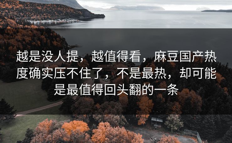 越是没人提，越值得看，麻豆国产热度确实压不住了，不是最热，却可能是最值得回头翻的一条  第1张
