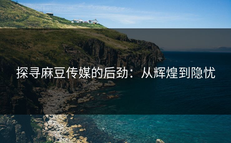 探寻麻豆传媒的后劲：从辉煌到隐忧  第1张