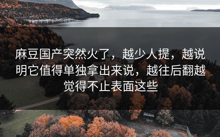 麻豆国产突然火了,越少人提,越说明它值得单独拿出来说,越往后翻越觉得不止表面这些 第1张 麻豆国产突然火了,越少人提,越说明它值得单独拿出来说,越往后翻越觉得不止表面这些 第1张