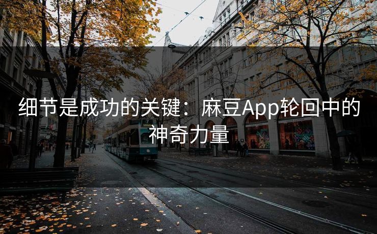 细节是成功的关键:麻豆App轮回中的神奇力量 第1张 细节是成功的关键:麻豆App轮回中的神奇力量 第1张