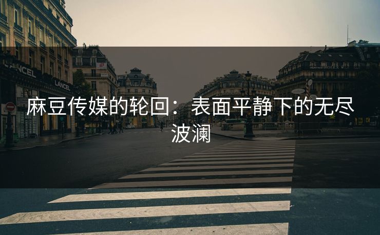 麻豆传媒的轮回:表面平静下的无尽波澜 第1张 麻豆传媒的轮回:表面平静下的无尽波澜 第1张