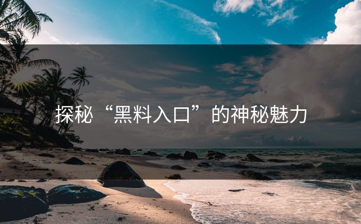 探秘“黑料入口”的神秘魅力 第1张 探秘“黑料入口”的神秘魅力 第1张