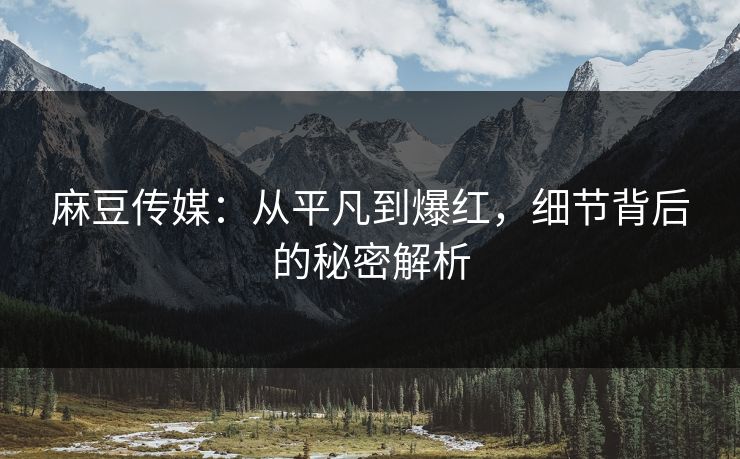 麻豆传媒：从平凡到爆红，细节背后的秘密解析  第1张
